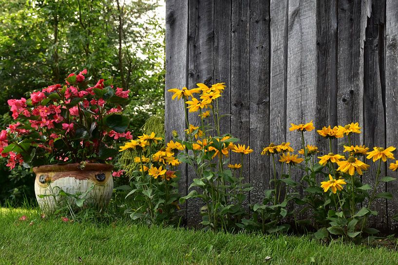 Blumen im Garten von Claude Laprise