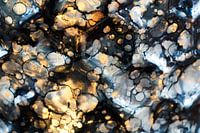 Port zu einer anderen Dimension