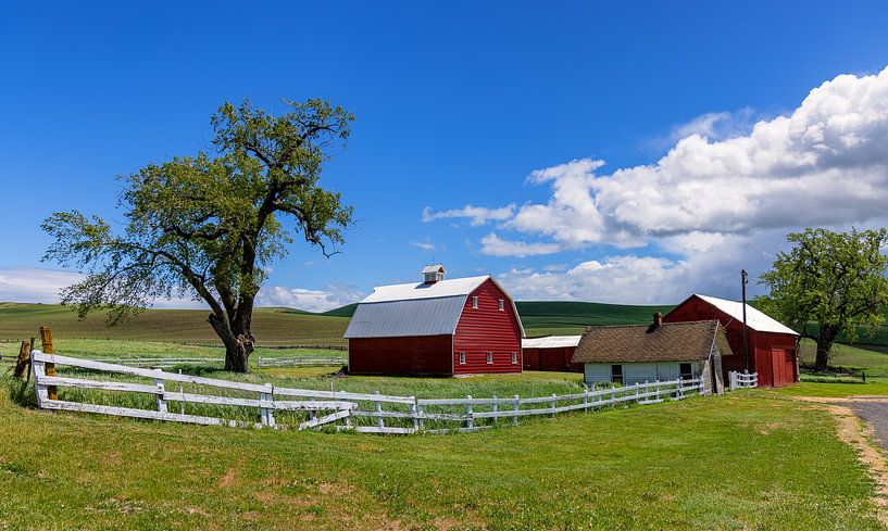 Bauernhof im Palouse, Vereinigte Staaten von Adelheid Smitt