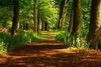 Randonnée à Nijenburg