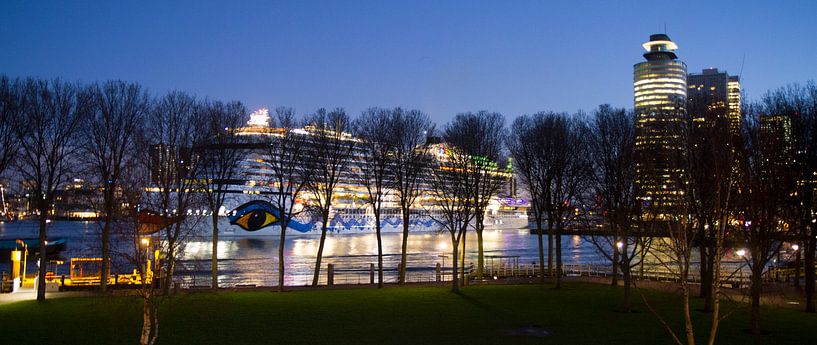 AIDAprima von Rob Altena