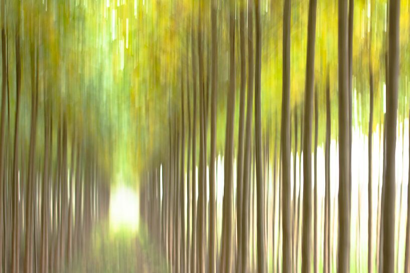 Abstrakte Landschaft von Lucia Leemans