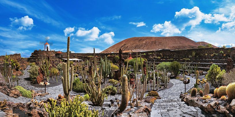 Der Kaktusgarten, Jardín de Cactus in Guatiza auf Lanzarote von Photo Art Thomas Klee