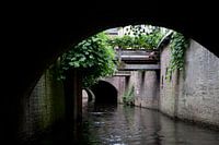 In diesen ist 's-Hertogenbosch.