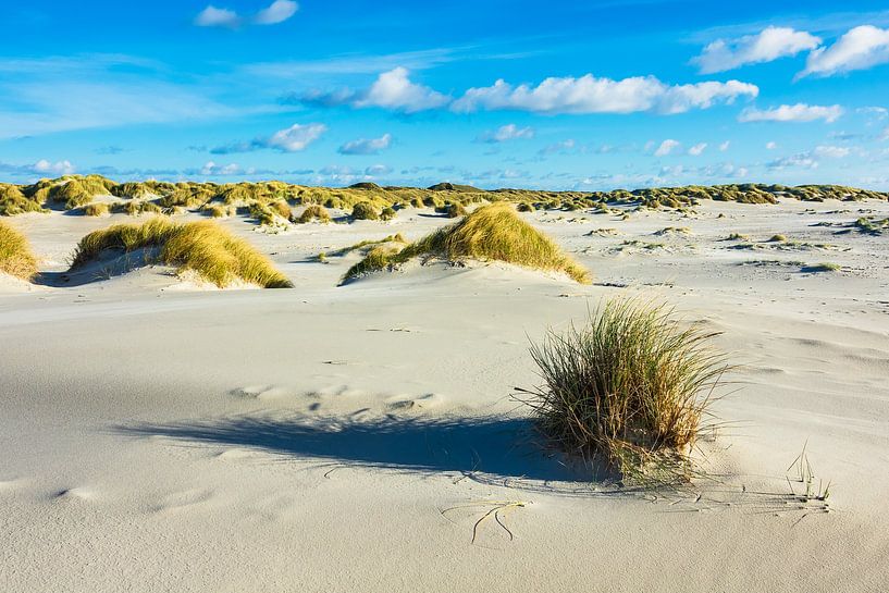 Landschaft mit Dünen auf der Insel Amrum von Rico Ködder