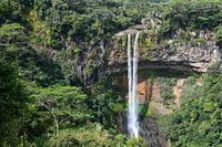 Wasserfall auf Mauritius