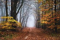 Der Rand des Herbstes