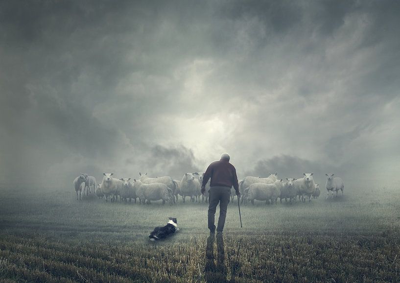 Der Schafhirte mit seinen Schafen von Bert Hooijer