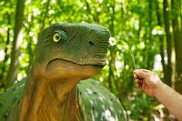 Dino ruikt aan een bloem