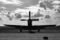 North American P-51D Mustang