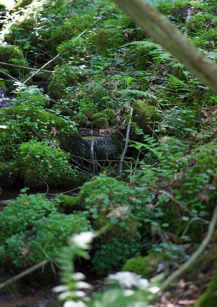Waterfall, nature by Daniel Dorst
