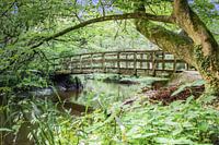 Brücke über die Bekendelle