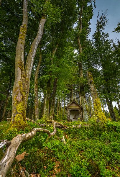 Kapelle im Wald von Eelke Brandsma