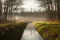 Symmetrische Landschaft mit Graben und Morgennebel - Bezaubernder Sonnenaufgang im Maulwurfswald