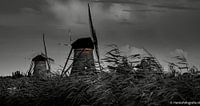 Moulins de Kinderdijk