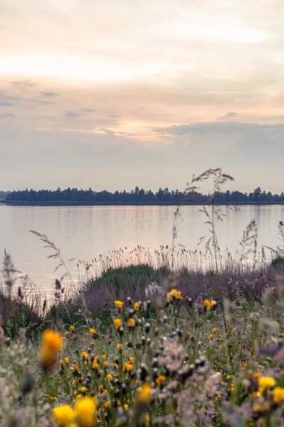 Niederländische Naturlandschaft im Delta von Fotografiecor .nl