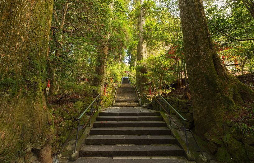 Hakone - Lake Ashi - Hakone Shrine (Japan) by Marcel Kerdijk