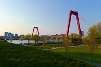 Willemsbrug Rotterdam vanaf 'Ons Park'