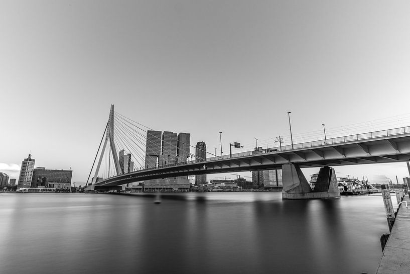 Die Erasmusbrücke in schwarz und weiß von Gea Gaetani d'Aragona