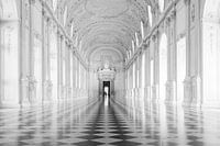 Galleria Grande, Palazzo Venaria Reale