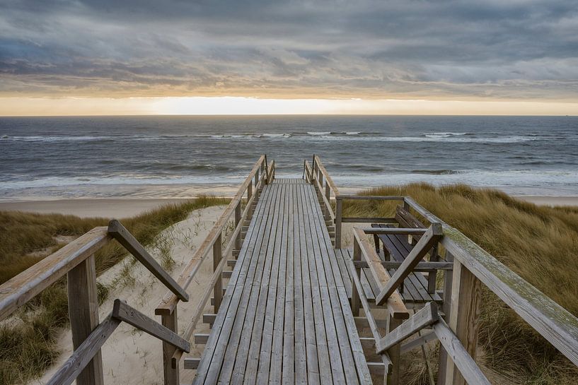 Le chemin de la mer par Beate Zoellner