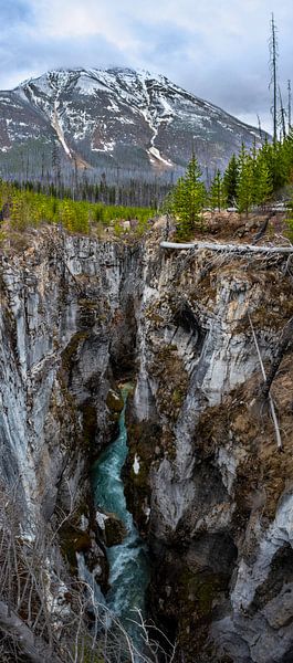 Vertical panorama of the Marble Canyon, Canada by Rietje Bulthuis