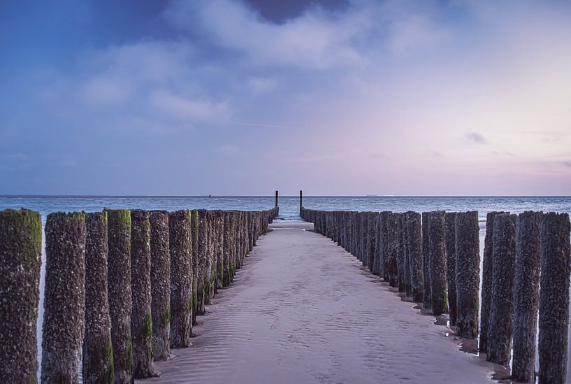 Poles beach by natascha verbij