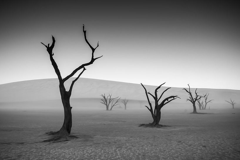 Deadvlei noir et blanc par Adri Klaassen