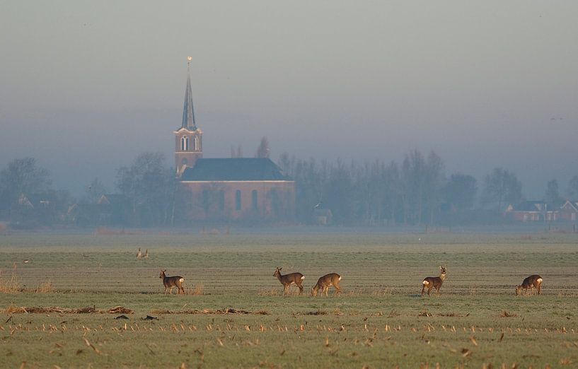 Église de Hommerts par Jitske Van der gaast