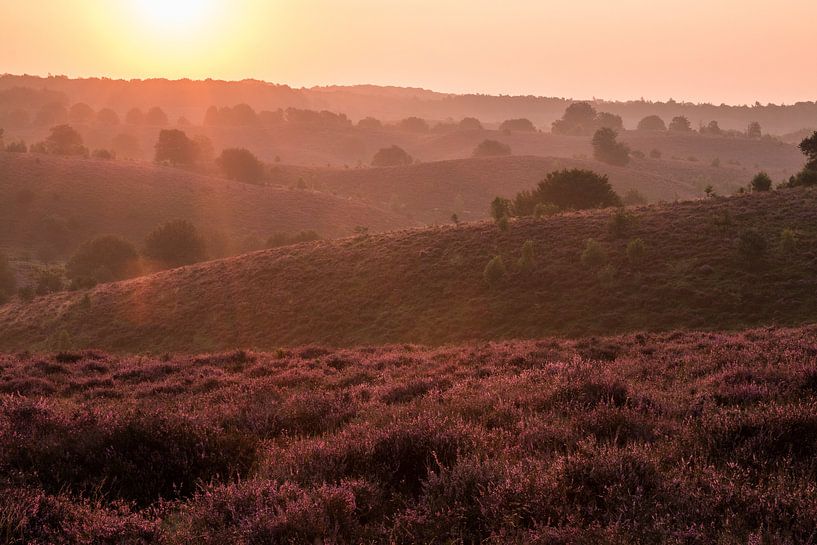 Posbank 8 by Nuance Beeld