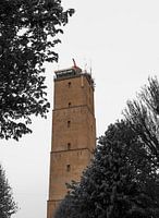 Brandaris, Terschelling