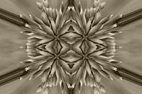 Dynamic flowers antique