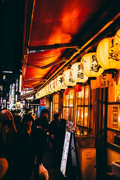Shinjuku by Night: Tokyo&#039;s Neon Jungle by Ken Tempelers