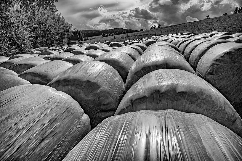 Balle de foin par Leopold Brix