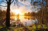 Sonnenaufgang in der Natur