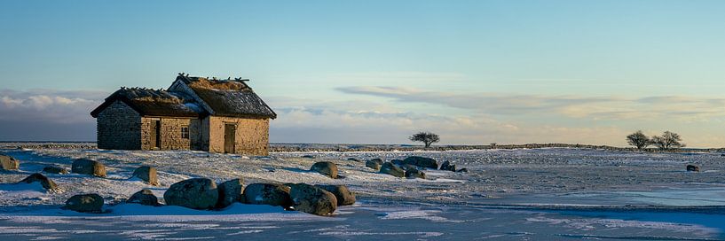 Paysage d'hiver d'Öland par Remco van Adrichem
