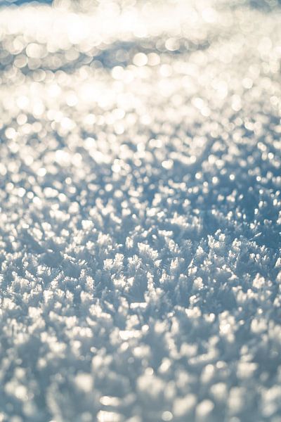 Schneekristalle mit erstem Sonnenschein von Leo Schindzielorz