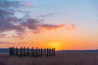 Sunrise at the burial mounds on the Regte Heide.