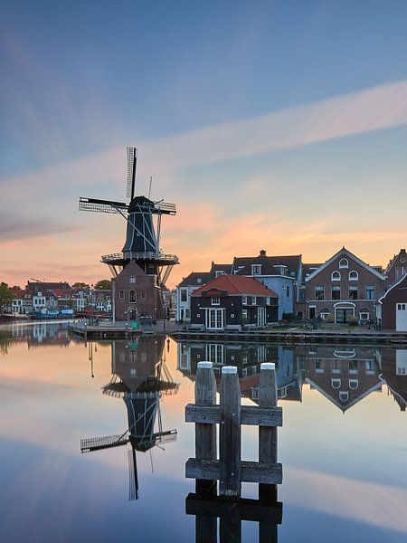 Adrian précoce par Harro Jansz