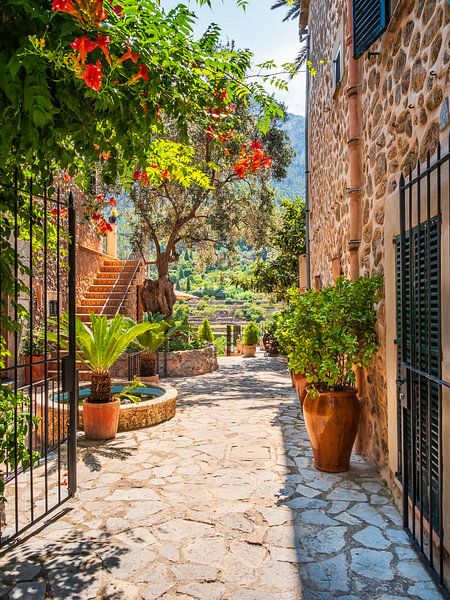 Dorf Deià in Mallorca mit Garten von Mustafa Kurnaz