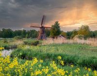 Spinnkopfmühle der Wicher