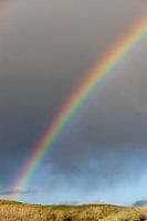Rainbow over Ameland's dunes