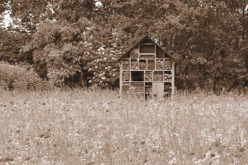 Insektenhotel in Sepia von Jose Lok