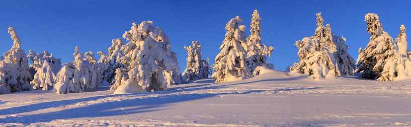 Panorama depuis le sommet enneigé du Brocken par Karina Gebert