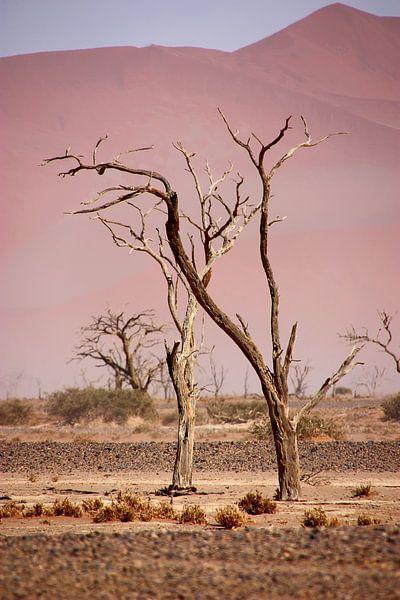 LE NAMIBIA ... pastel tones I par Meleah Fotografie
