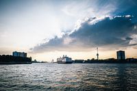 Rotterdamer Kreuzfahrtschiff verlässt seinen Hafen