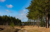 Wohin führt die Straße...