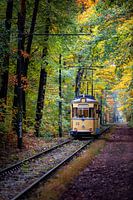 Straßenbahn im Herbstwald