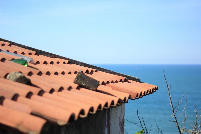 Roof by Janjaap Van Dijk