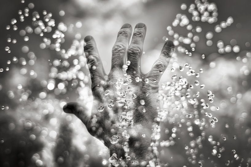 Erreichen Sie von Richard Mijnten